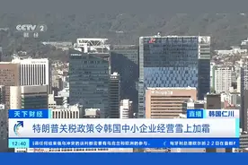 韩元贬值+特朗普关税打击，韩国中小企业面临困境图片