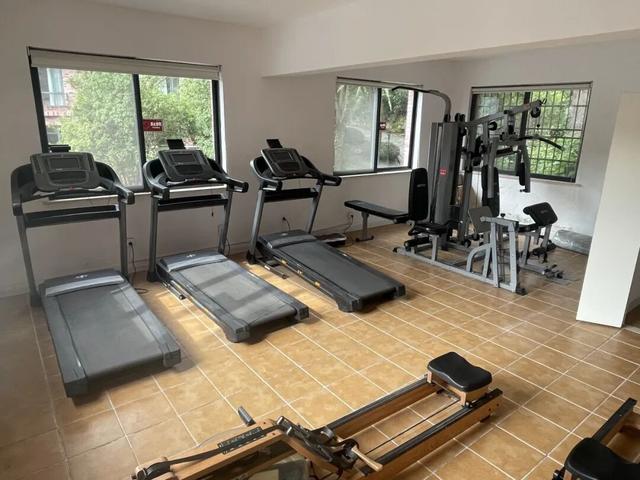 热搜！寒潮收尾！周末最高21℃！来光明东滩源、黄山茶林场兜兜…最低2折特惠！太值了！