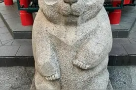 日媒探访神户中华街：熊猫加入十二生肖？图片