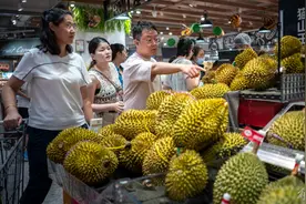 鲜果“猫山王” 榴莲正式入华 首批已在上海开卖图片
