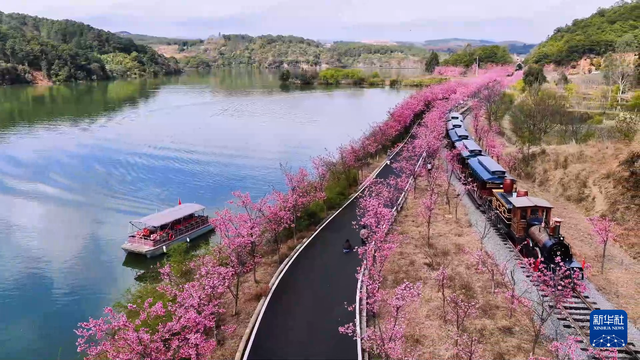 云南寻甸开启春日限定美景