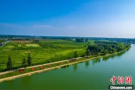 千年“胶河”串起山东文旅消费新热潮图片