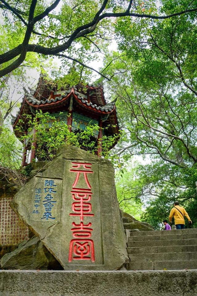 没想到，冬日的黎明湖公园这么美！