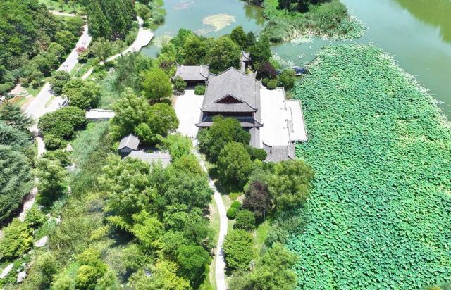 来宿城，打卡我“荷”你的浪漫