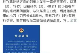 刘某（男，19岁），已被刑拘！警方通报图片