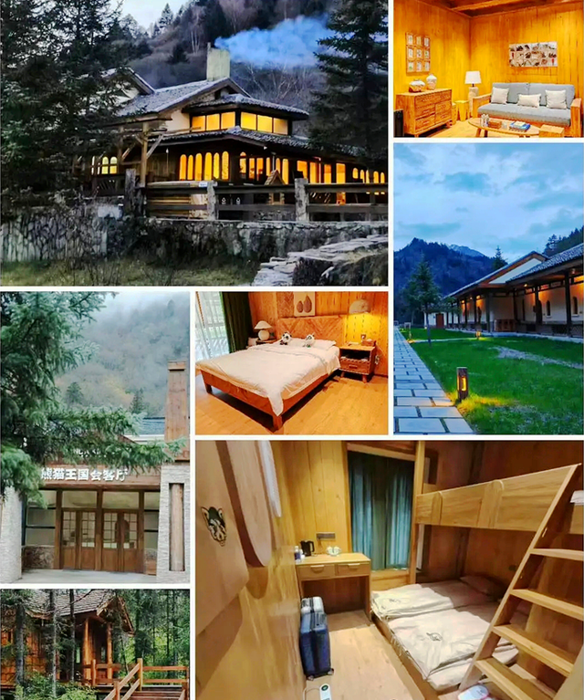 乐游绵阳 清凉一夏 ‖ 立秋已过，平武多了几分“姿色”！云海、花海、森林与田园的诗意交响~