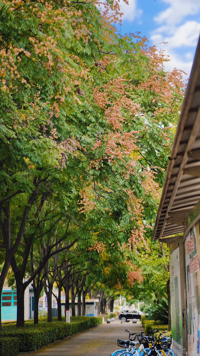 速冲！到这里get明星同款秋日大片！
