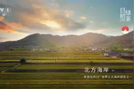 日照绿茶亮相央视多个主频道 开启品牌建设新篇章图片