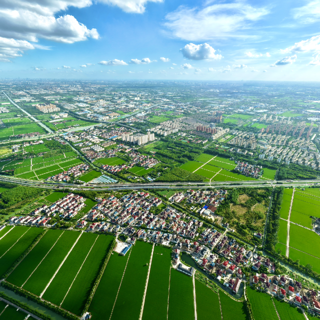 2025年宝山区丰收节暨“幸福宝山路 魅力乡村行”宝山职工徒步赛即将开赛！