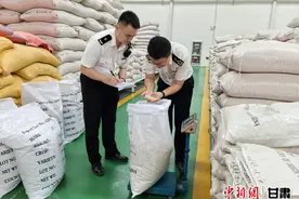 甘肃前7个月出口非洲市场外繁制种数量同比增长逾4倍图片