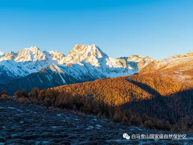 开屏策划｜冬季到云南来看雪：邂逅南国冰雪奇缘！