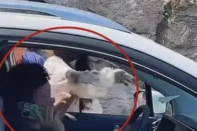 被打不能还手？高校教授：法律对正当防卫已明确规定