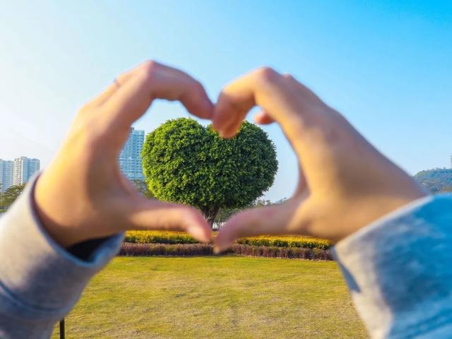 上新！珠海“顶流爱心树”浪漫升级，出片率100%！