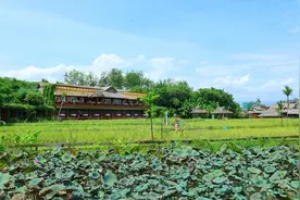 节气里的大美中国 | 白露：露从今夜白，月是故乡明图片