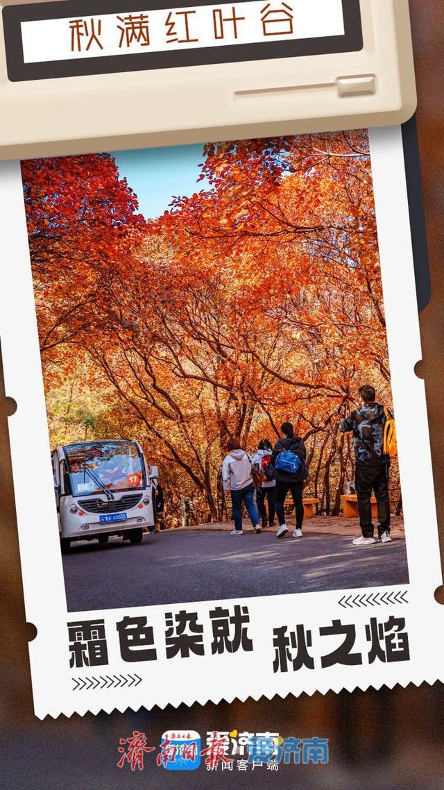 海报合集│济南红叶谷剪映深秋最美时光