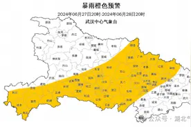 今晚起，武汉又见暴雨雷电大风！雨要下到....图片
