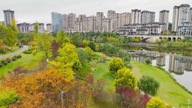 仪陇的秋天很美啊!