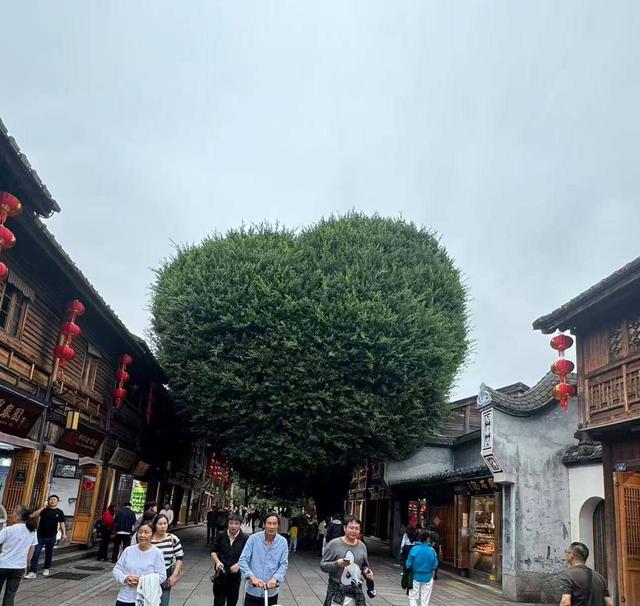 福州：一片“三坊七巷”，半部中国近代史