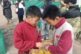 亲近鸟类世界 感悟自然之韵图片