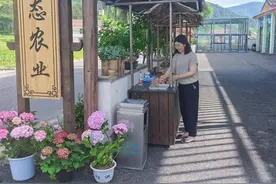 榛子乡板庙村女能人魏国琴：“一人富不算富，大家一起富才是富”图片