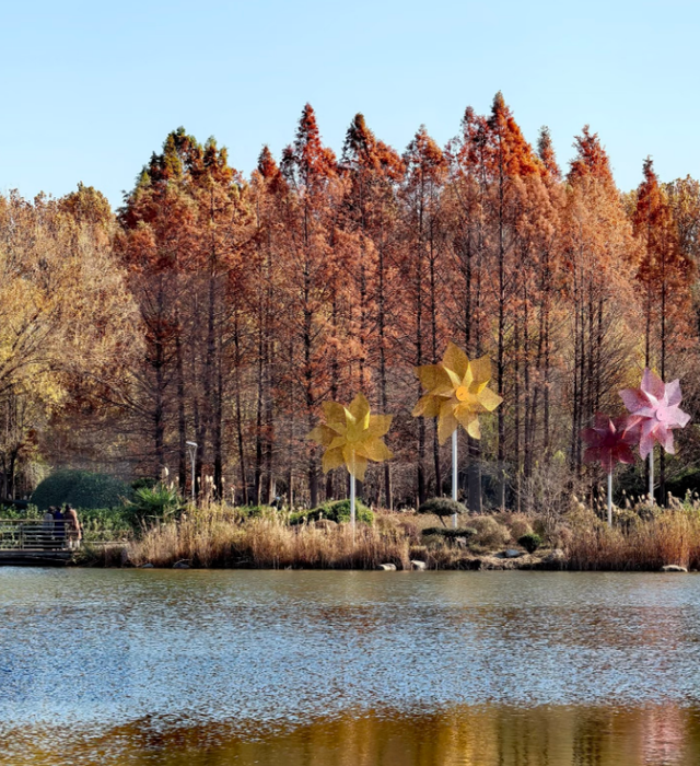 温柔，超治愈！郑州5个好看出片的芦苇打卡地！