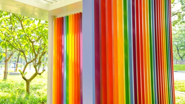 运动、遛娃、拍照全安排！东莞人“家门口”又上新了