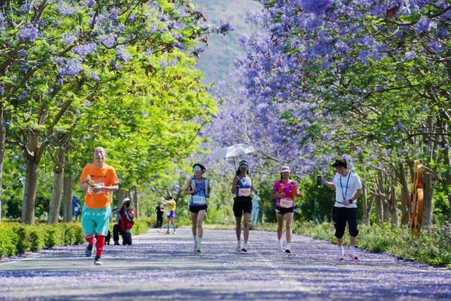 云南唯一！异龙湖环湖线入选“2025中国骑行地图”百条精品路线