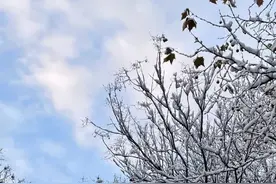 烟威再迎降雪美如仙境！山东冰雪主题活动等你来嗨图片
