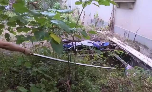 重庆男子下楼捡鞋坠绿化带深坑身亡
