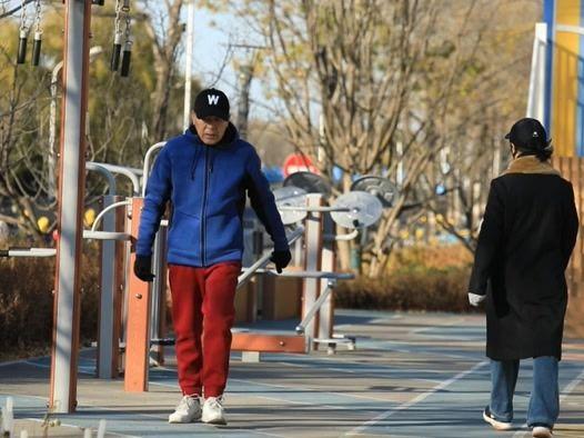 北京号最精彩 | 太惊喜！京城第一波蜡梅开啦！位置就在——