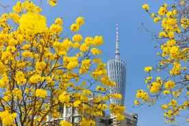 2月广州降水量异常偏少，气温略偏高图片