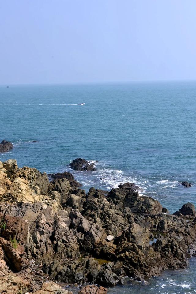 山东秋天的限定「色卡」，你集齐了吗？