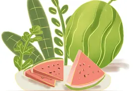 夏日吃瓜季！齐贤蜜瓜、崩瓜、玉菇……哪个是你的“梦中情瓜”？图片