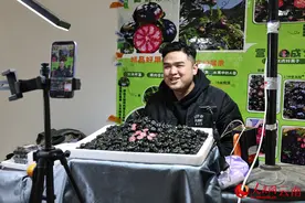 新春走基层｜“村播”成长记：“新农人”变身“兴农人”图片