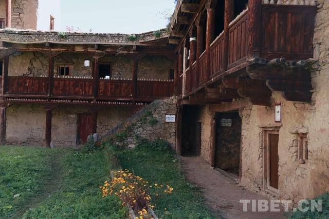 “大鹏翼”下的守望：一位守护者的百年博物馆