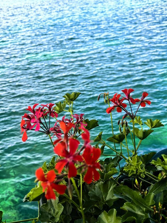 晚潮｜日内瓦湖上的时间寓言