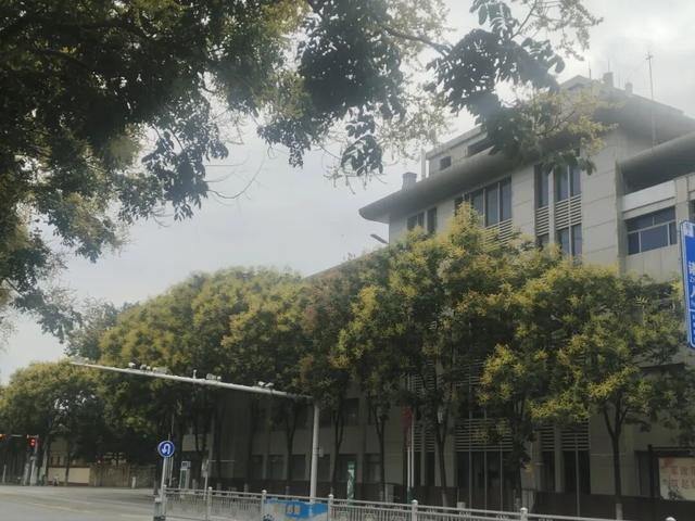 栾树点缀下的诸城初秋，那么美！