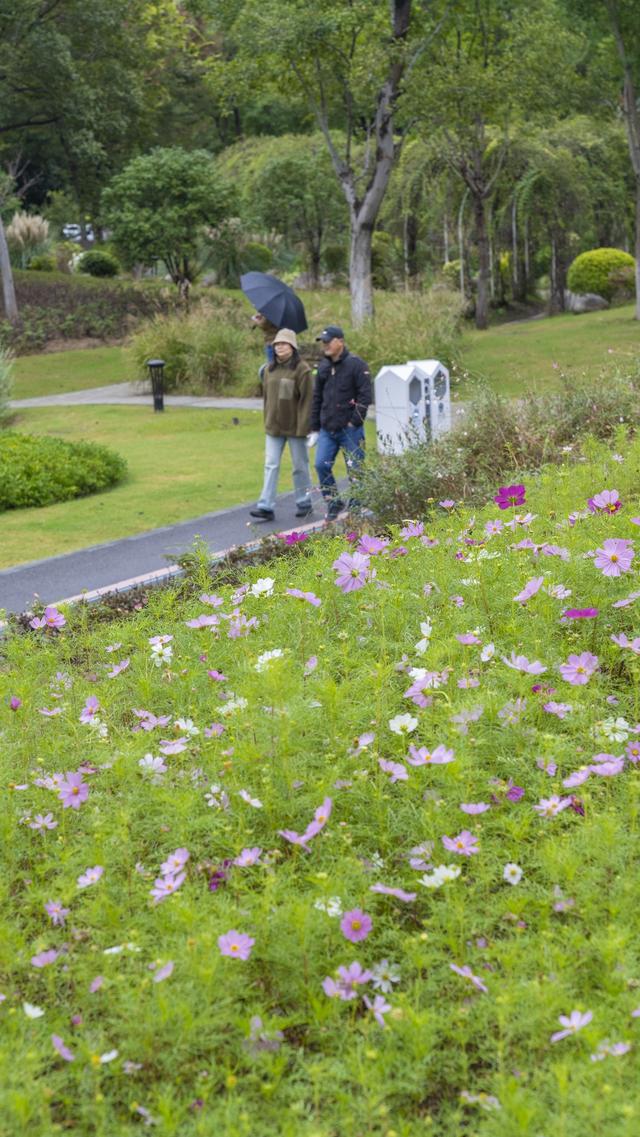汉广海棠公园：闻着花香与草木气息