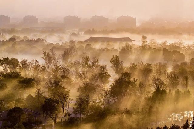 南通这里又要火了！每天清晨，不少人赶去打卡