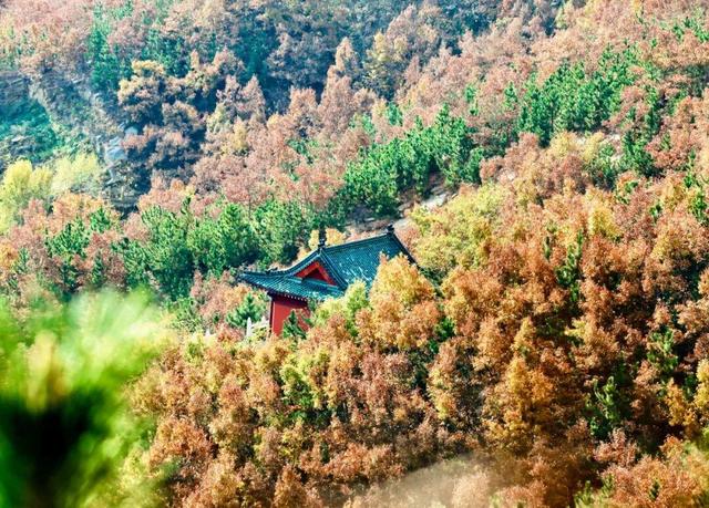 威海这个4A级旅游景区免费！登山看海+千年祈福，初冬盛景不辜负