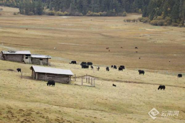 香格里拉国家公园候选区：一座没有围墙的生态博物馆