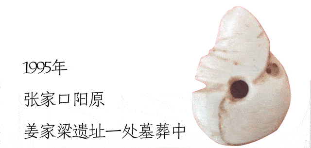 创意长图丨抓住暑假的尾巴，来河北解锁博物馆奇妙行