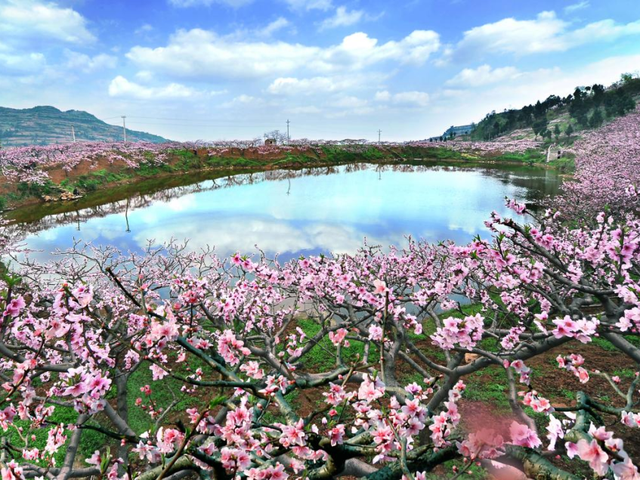 国庆中秋来龙泉驿，4条“寻美景”线路助你开启快乐之旅！