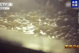 重量仅48克！这是来自两千多年前的纱衣图片