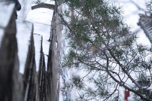 八达岭长城喜提初雪，银装素裹美成水墨丹青