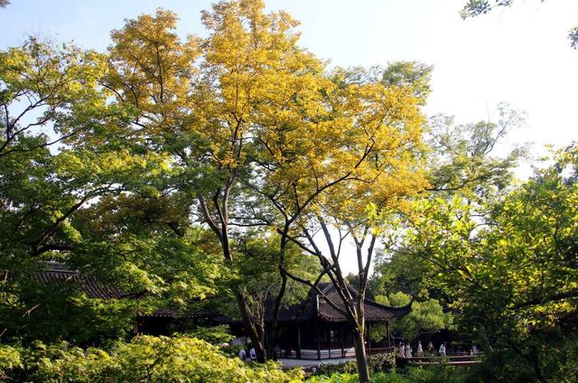 江苏苏州：“白露”将至 秋意渐浓