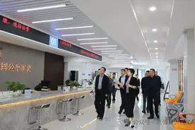 全国、市人大代表视察武强法院图片