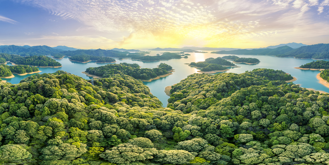 看十五运会，打卡“绿美广东”——南方+拍客广东绿美点主题影像征集活动启动！