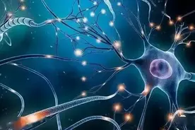 人类终其一生在学习，但其实大脑只能存住4GB？图片