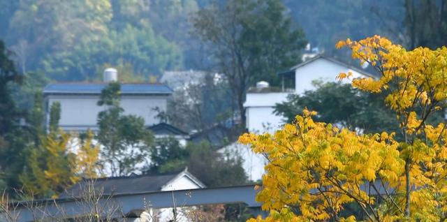 西冲玉带景区：徽派建筑与斑斓秋色的诗意交响